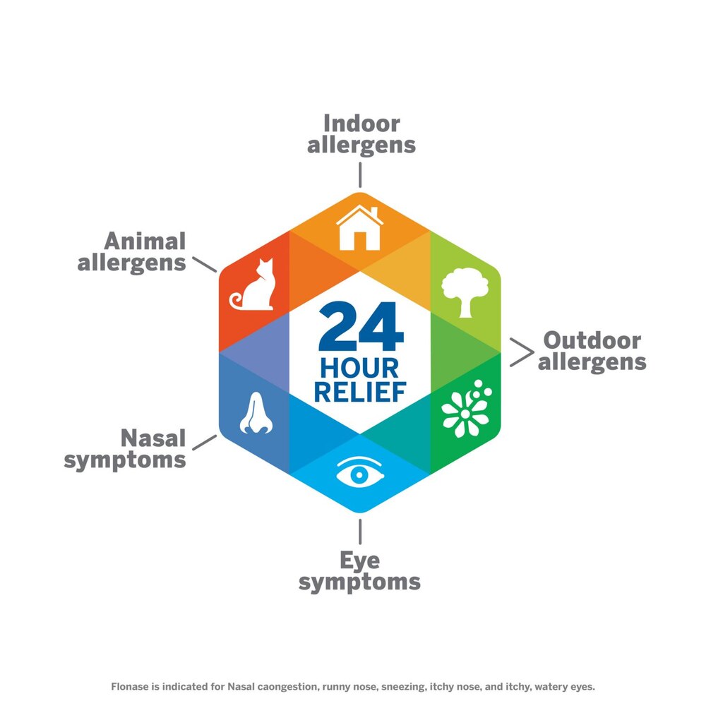 Hexagonal diagram with allergen categories and '24 Hour Relief' text on a white background